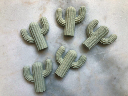 Cactus Soaps - Kids