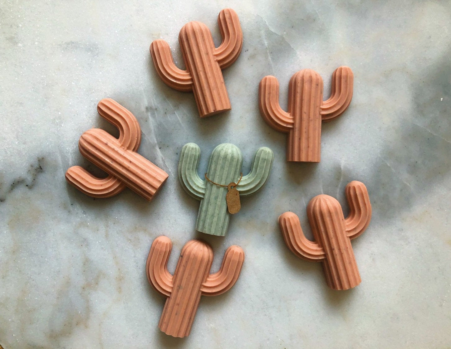 Cactus Soaps - Kids